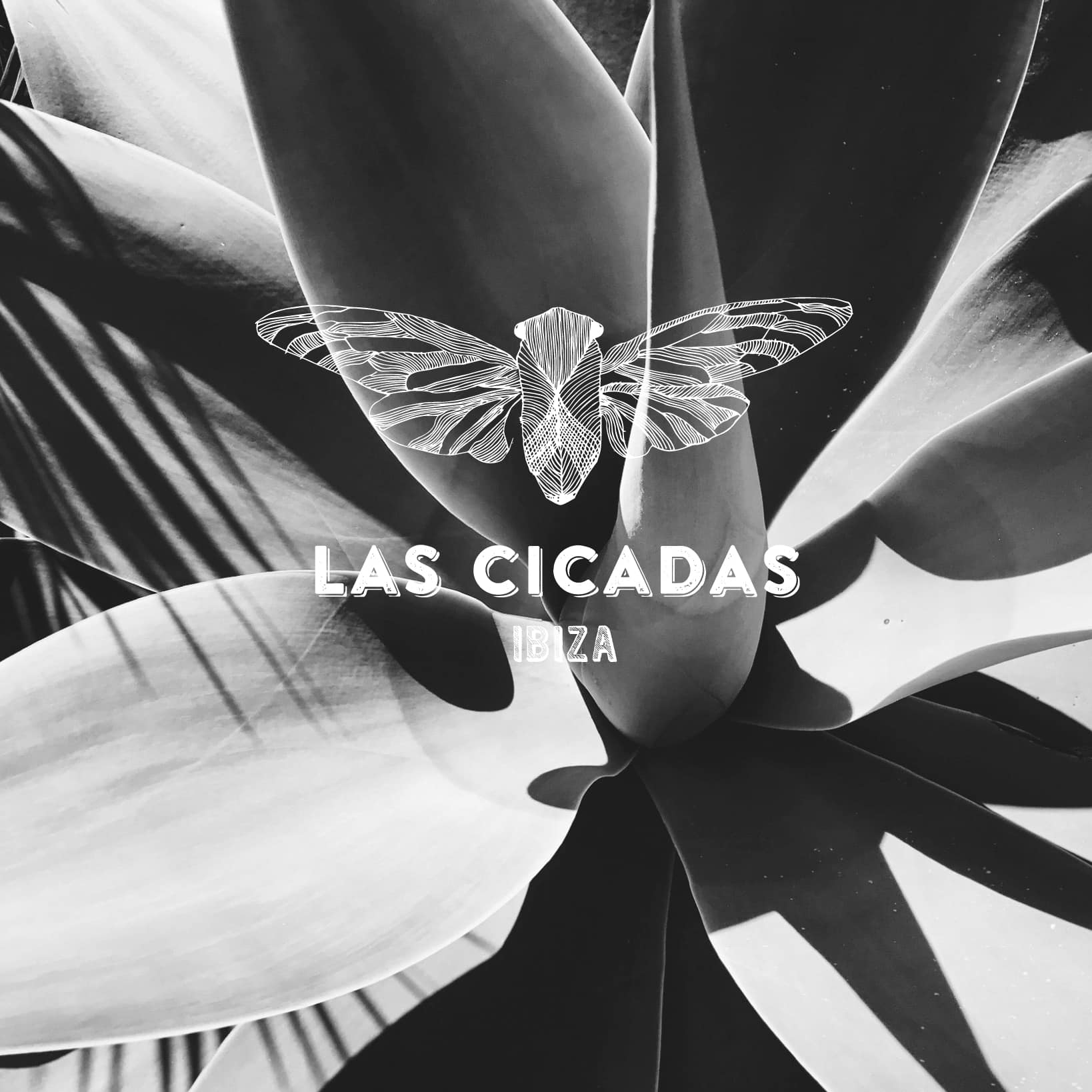 LAS CICADAS - IBIZA